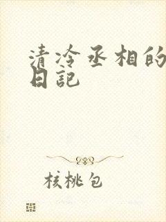 清冷丞相的挨抄日记