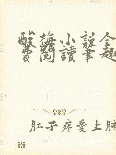 酸梅小说全文免费阅读笔趣阁