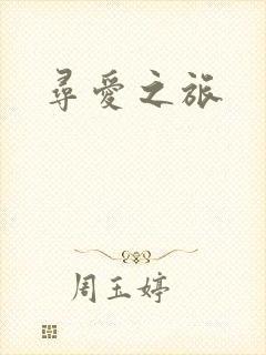 寻爱之旅封面