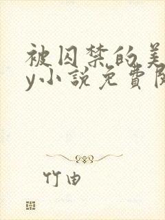 被囚禁的美人by小说免费阅读