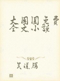 大团圆免费阅读全文小说封面