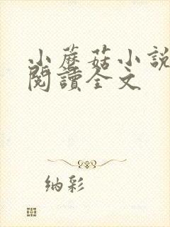 小蘑菇小说免费阅读全文