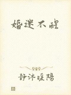 婚迷不醒封面