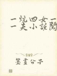 一炕四女一共侍一夫小说阅读