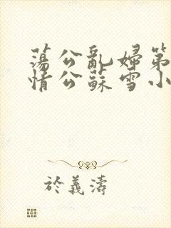 荡公乱妇第1章情公苏雪小说封面