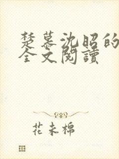 楚慕沈昭的小说全文阅读封面