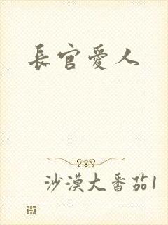 长官爱人封面