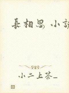 长相思 小说