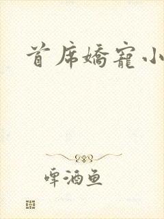 首席娇宠小情人封面