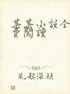 某某小说全文免费阅读封面