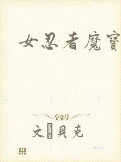 女忍者魔宝传封面