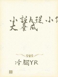 小说h从小做到大养成封面