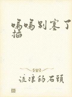 呜呜别塞了啊抽插