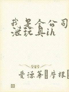 我是全公司的发泄玩具ih