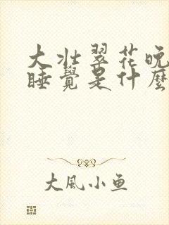 大壮翠花晚上不睡觉是什么电视剧