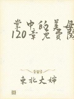 掌中的美母版主120章免费阅读