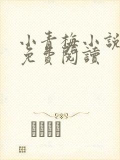 小青梅小说全文免费阅读