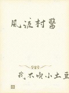 风流村医