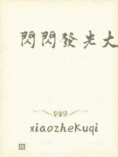 闪闪发光大团结封面