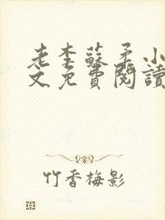 老李苏柔小说全文免费阅读