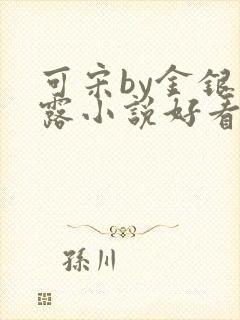 可宋by金银花露小说好看吗封面