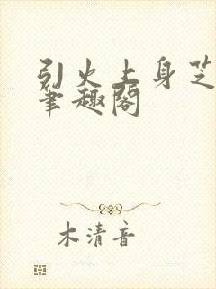 引火上身芝麻糖笔趣阁封面