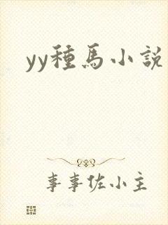 yy种马小说封面