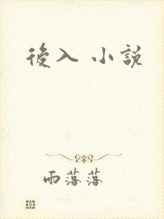 后入 小说