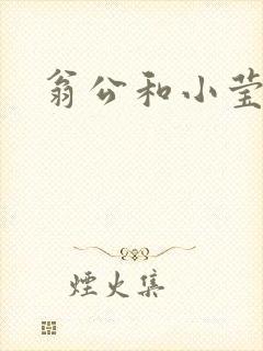 翁公和小莹封面