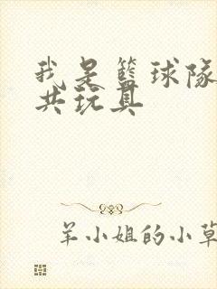 我是篮球队的公共玩具