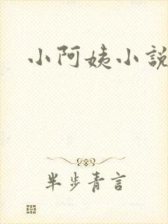 小阿姨小说