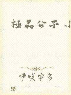 极品公子 小说封面