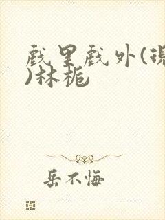 戏里戏外(现场)林栀封面