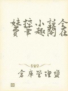 妹控小说全文免费笔趣阁在线阅读