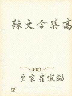 辣文合集高h