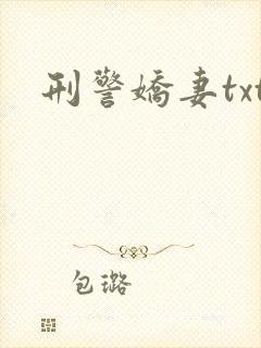 刑警娇妻txt封面
