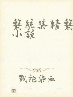 系统集精系统 小说