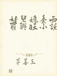 好儿媳秦雨罗明罗兴旺小说