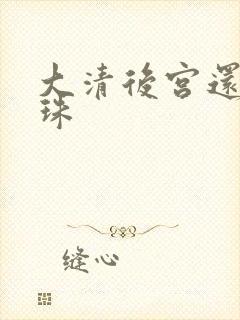 大清后宫还君明珠封面