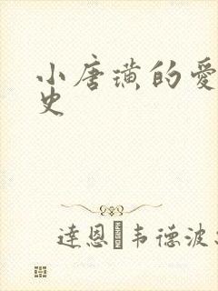 小唐璜的爱情历史