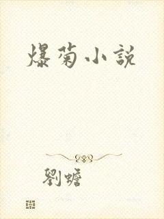爆菊小说