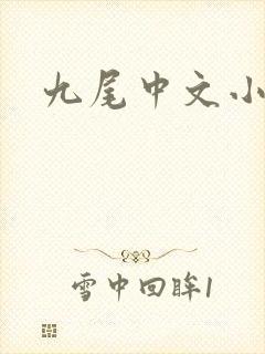 九尾中文小说网