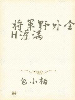 将军野外含公主H灌满