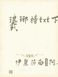 琅琊榜txt下载