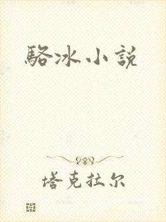 骆冰小说