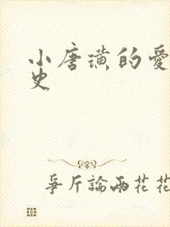 小唐璜的爱情历史