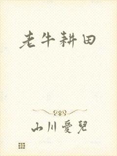 老牛耕田