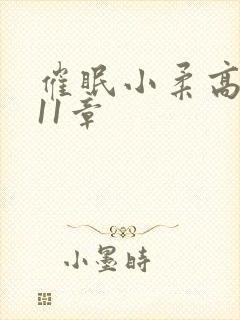 催眠小柔高达第11章