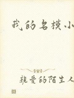 我的名模小娇妻