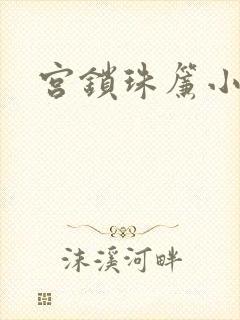 宫锁珠帘小说封面